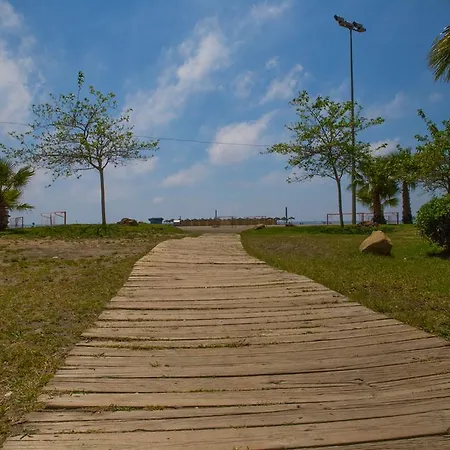 Tamarindos Ii